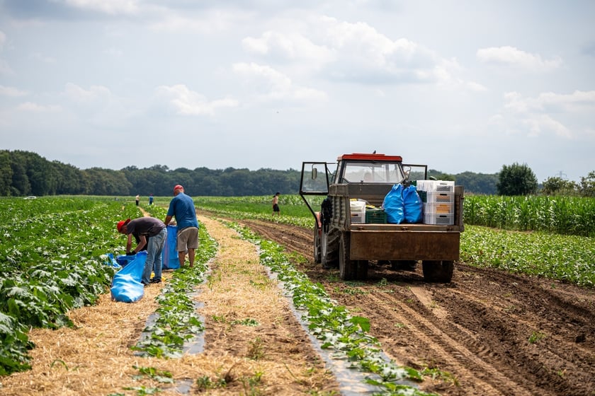 Miejska Farma Wrocławia